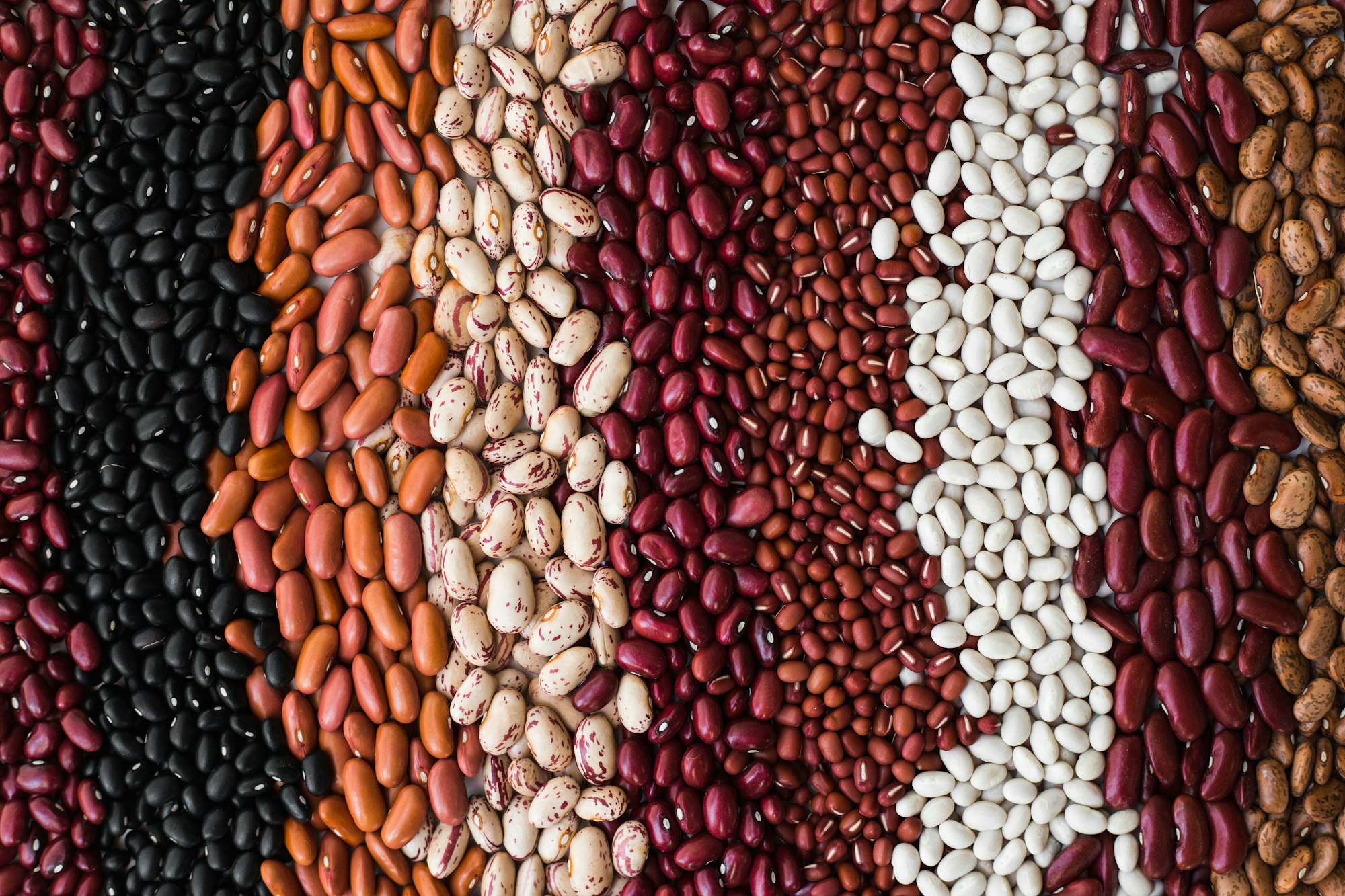 Different varieties of bean seeds. Beans background.